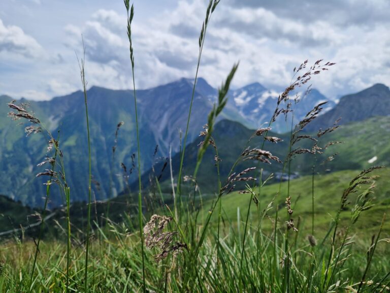 10b0764d Bf54 45d4 8874 2adcc3e8c4ad 768x576