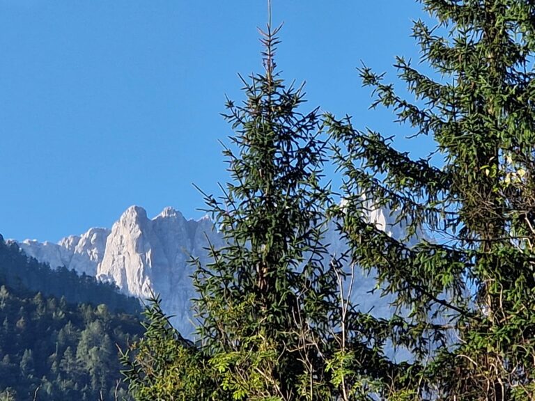 23c8350b 414d 44f2 93d1 A6d2d03cc702 768x576