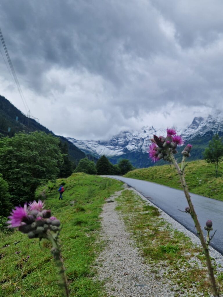 40dc195e B756 4d1e B805 5714b105802e E1771879363566 768x1024