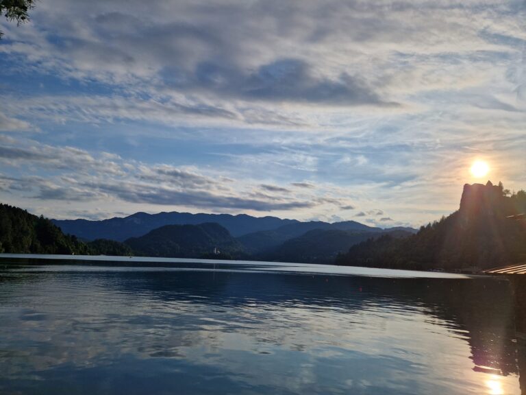 418cf5a2 7312 4405 9dcc 6caba1ed48c2 768x576