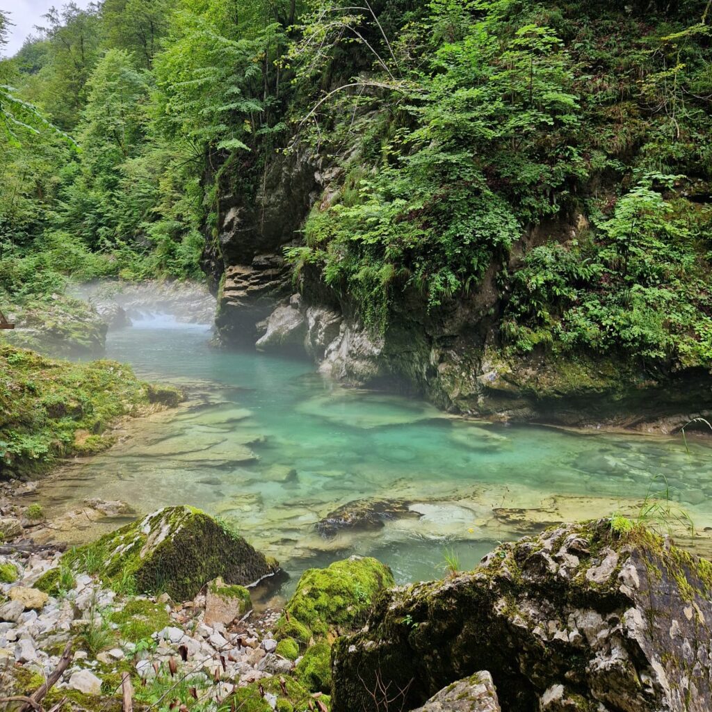 4535a195 70e5 4937 8af3 40749cd769a0 E1773402446419 1024x1024